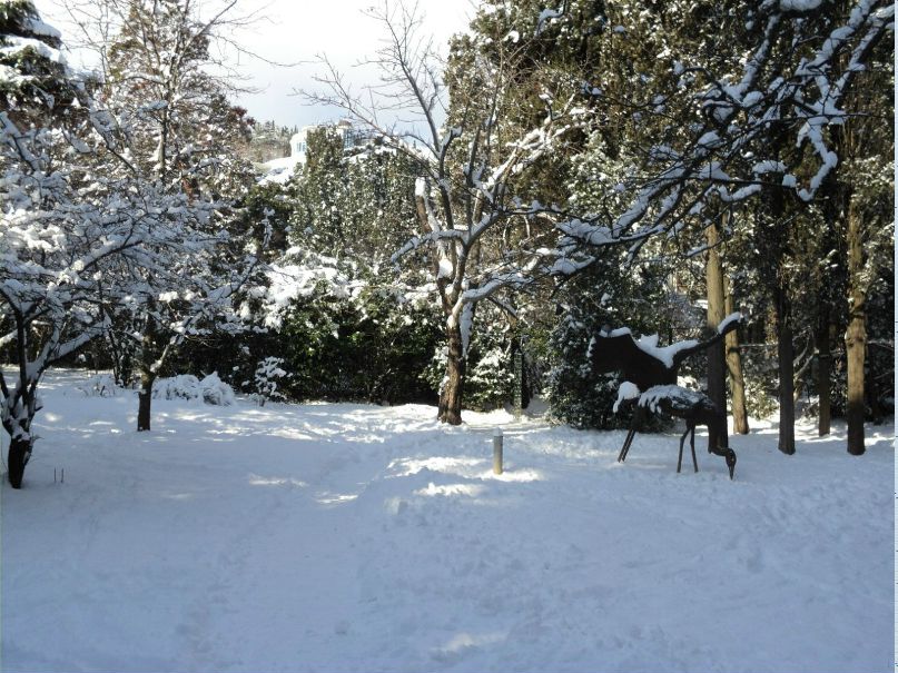 Валерий Алтунин Николаевич | Ялта