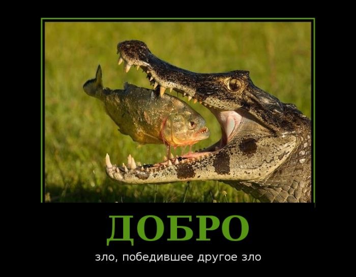 Максим Мухин | Москва