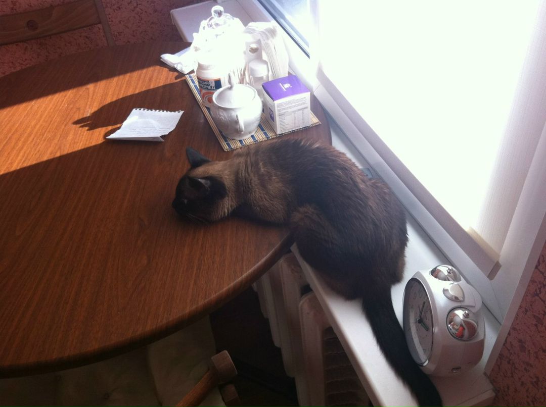 Татьяна Чернова | Пенза