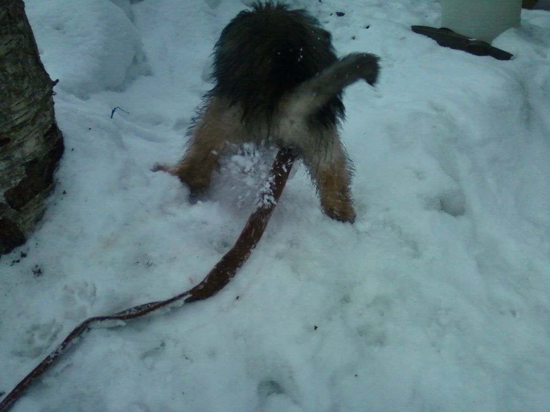 Марина Киселёва | Санкт-Петербург