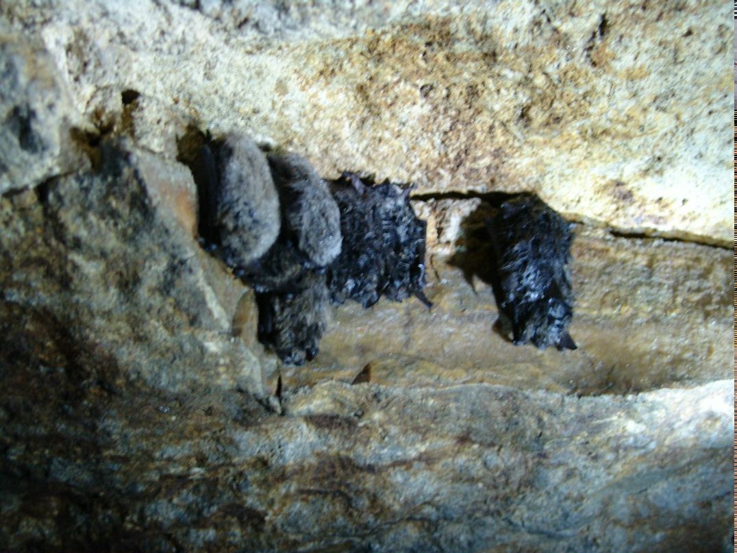 Vovka Kovalev Space | Москва