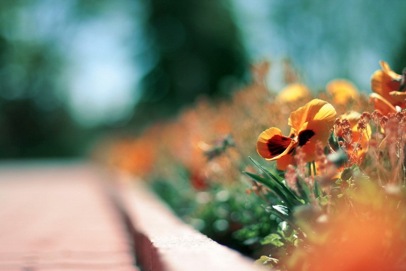 Просто Надя | 