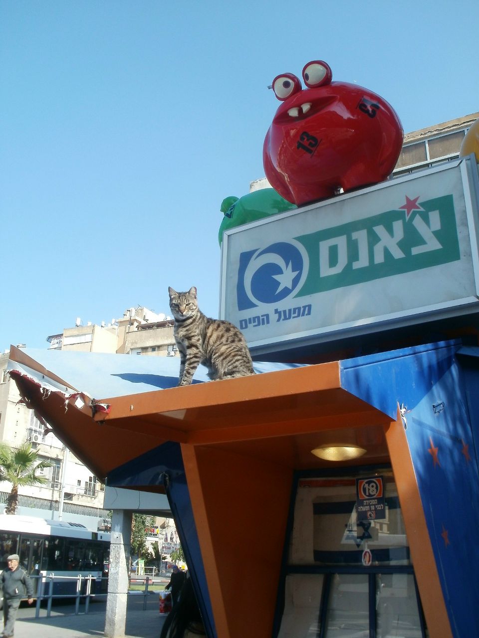 Татьяна Макушенко | Луганск