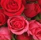 Евгения Щёголева | Москва