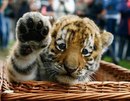 Фотография Климова Игоря