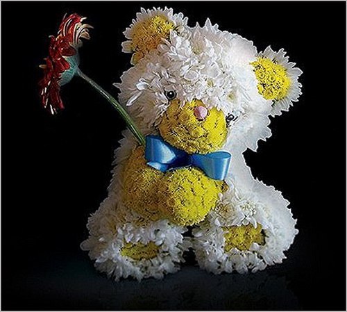 №3, Елена Шипицина №3, Елена Шипицина