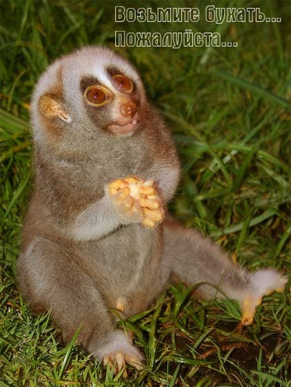 №71, Дмитрий Николаев, Москва, Россия №71, Дмитрий Николаев, Москва, Россия