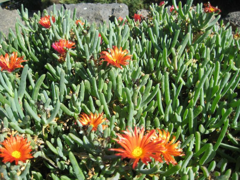 Елена Путинцева | Москва