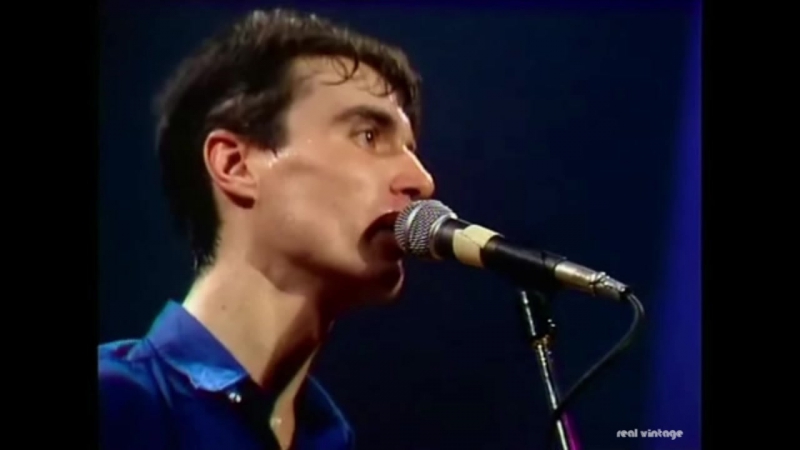 The Great Curve Talking Head