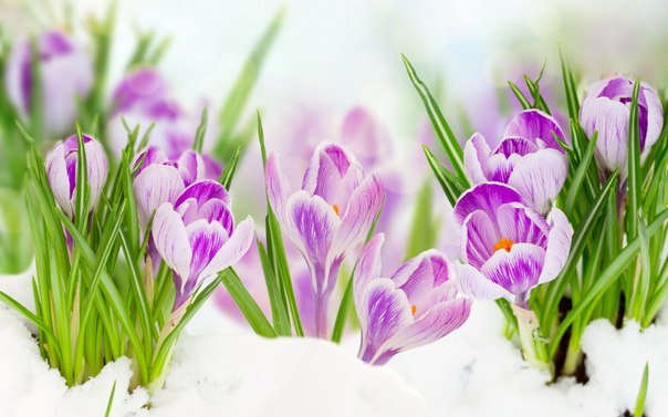 Надежда Савенок, Россия, Урай