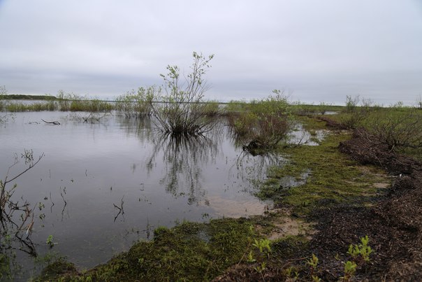 Тамара Тамара, Россия, Москва