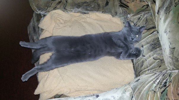 Павел Дудин, Россия, Тула