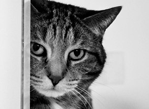 Олег Фазлулин