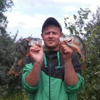 Сергей Мищенко