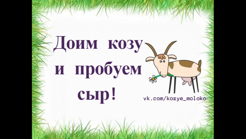 Доим козу и пробуем козий