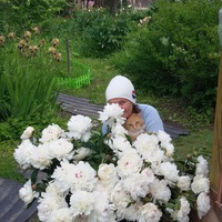 Татьяна Яковлева