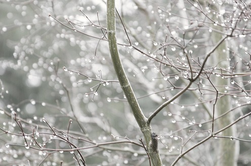 №113, Елена Тимченко, 42 года, Павлоград №113, Елена Тимченко, 42 года, Павлоград