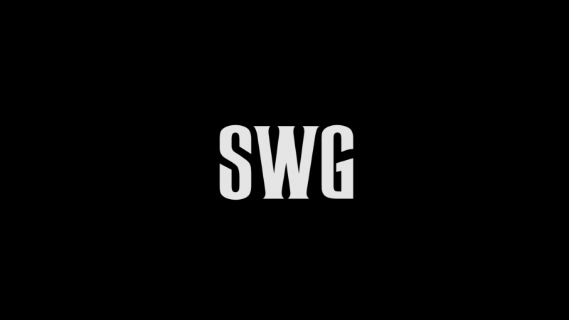 SWG ONE IN ONE