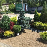 Юрий Беляев