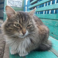 Александр Смагин