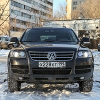 Дмитрий Николаев