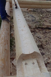 Александр Александрович