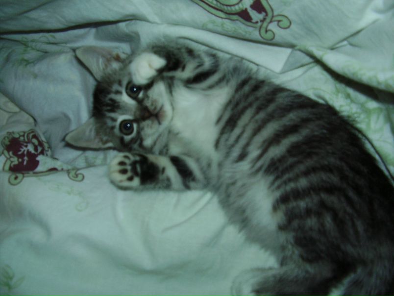 №9, Игорь Симинчук, Харьков №9, Игорь Симинчук, Харьков