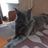 Людмила Новикова