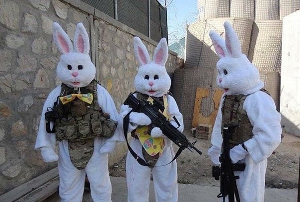 Highneph Brutal, Турция, İstanbul