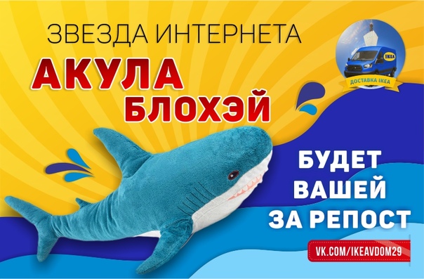 Акула Интернет Магазин Курск