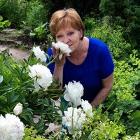 Ирина Глущенко