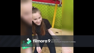 Домашний енот