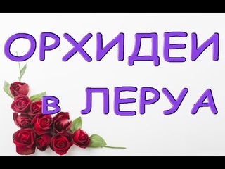 Леруа:ПРЕКРАСНЫЙ завоз ОРХИДЕЙ+Ашан,,ТЦ“Космопорт“,Самара.