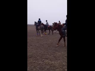 Казахстанская Премьер-лига