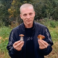 Владимир Александрович