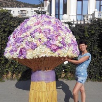 Наталья Уткина