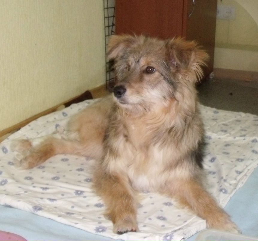 Майя Кренгель | Казань