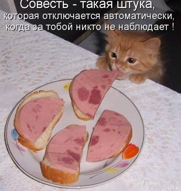 Алексей Самойлов | Самара