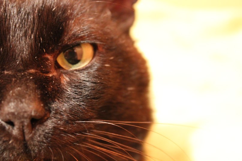 Валентина Жирнова | Кингисепп