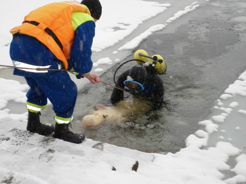 Ігор Кочанський | Ивано-Франковск
