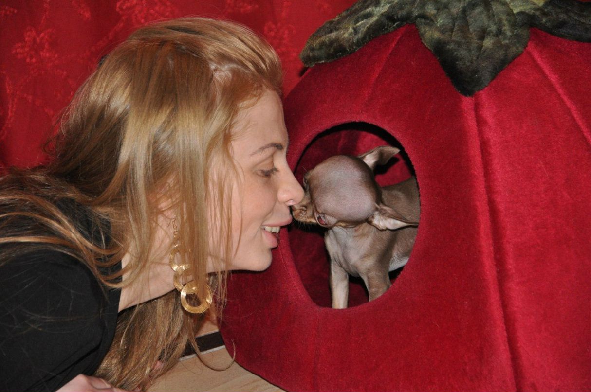 Sveta Shkurko ♛ | Киев