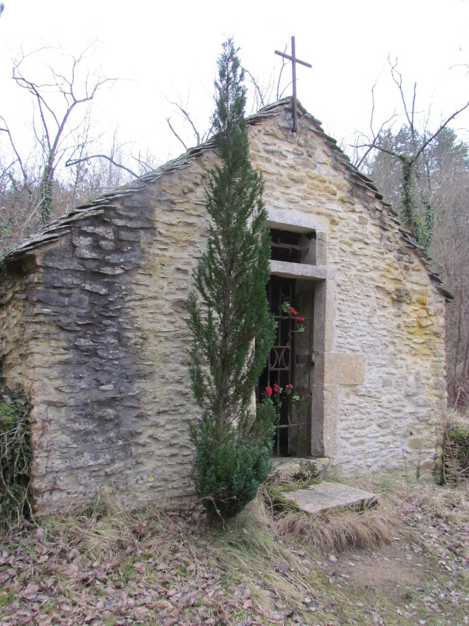 Вячеслав Патрин | Волгоград