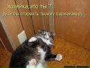 №28 Вера Ветрова : профиль, фото, статус - ВКонтакте №28 Вера Ветрова : профиль, фото, статус - ВКонтакте