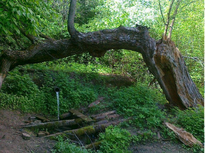 Денис Васильев Bacchus | Севастополь