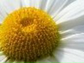 Мария Счастливая ♥ | Киев