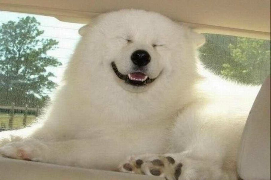 №133, Валерия Костенко, 41 год, Киев №133, Валерия Костенко, 41 год, Киев