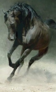 Максим Седловец фото профиля #3