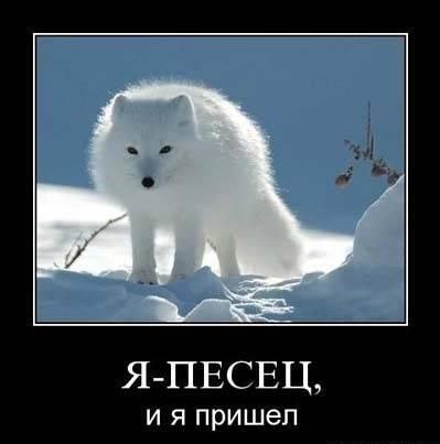 Петя Томчак | Южное