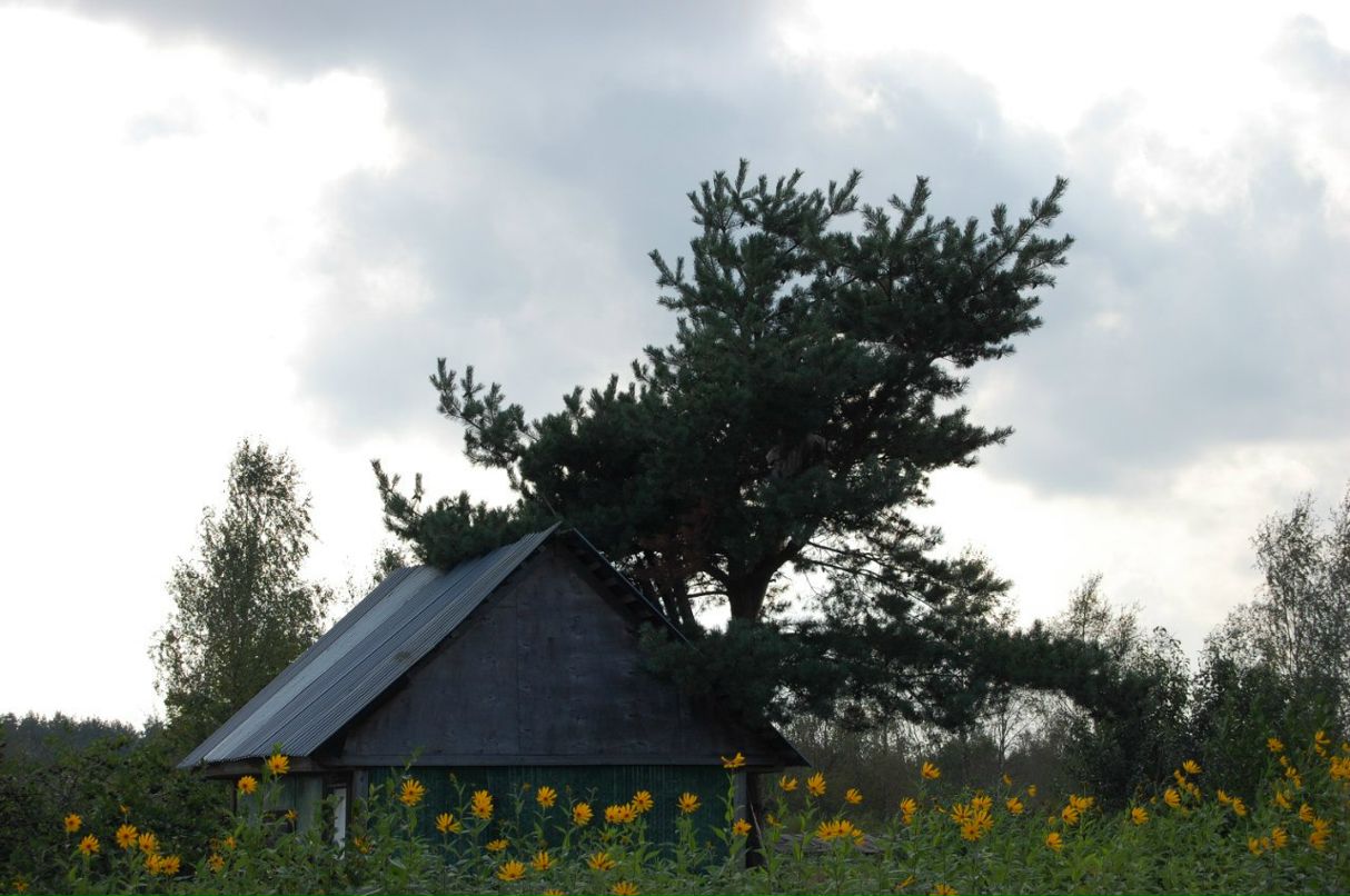 Алёна Шатских | Санкт-Петербург