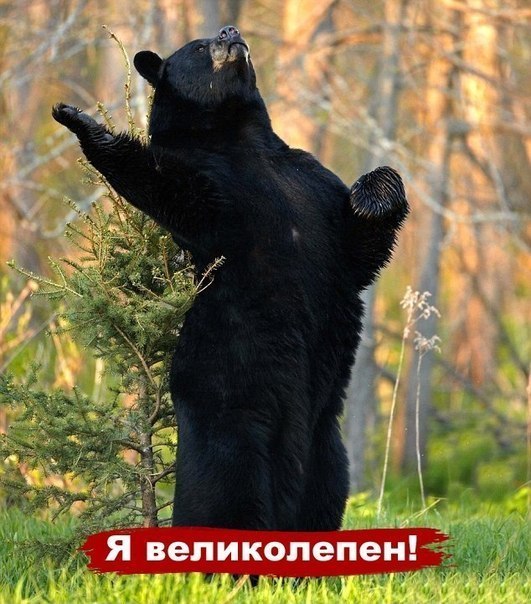 №5, Кирилл Скатов, 37 лет, Самара №5, Кирилл Скатов, 37 лет, Самара